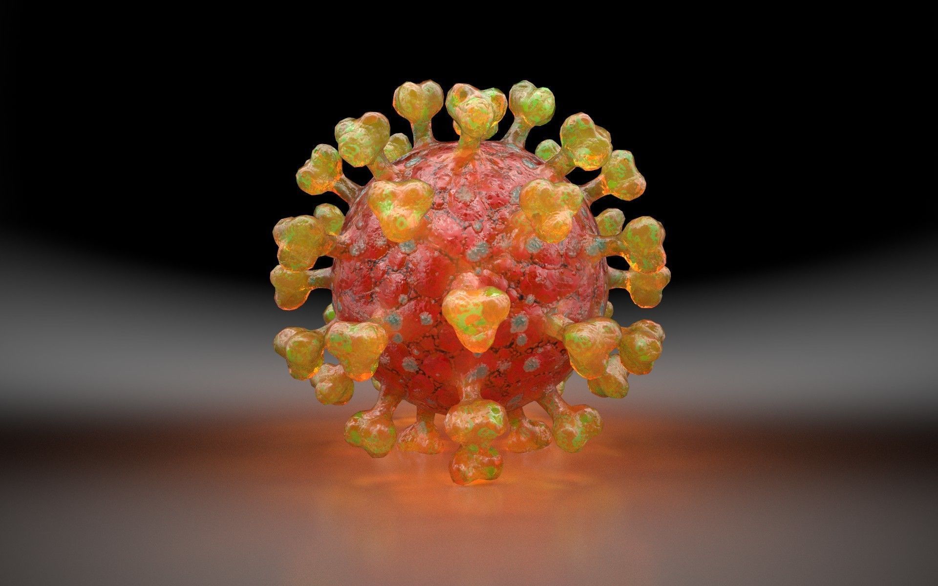 COVID-19  SARS-COV-2   Coronavirus   3D model_4