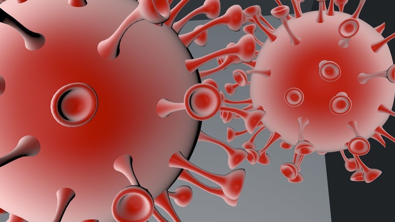 Coronavirus animated 3D model_4