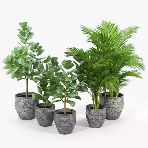 Knisely 2-Piece Pot Planter Set 01
