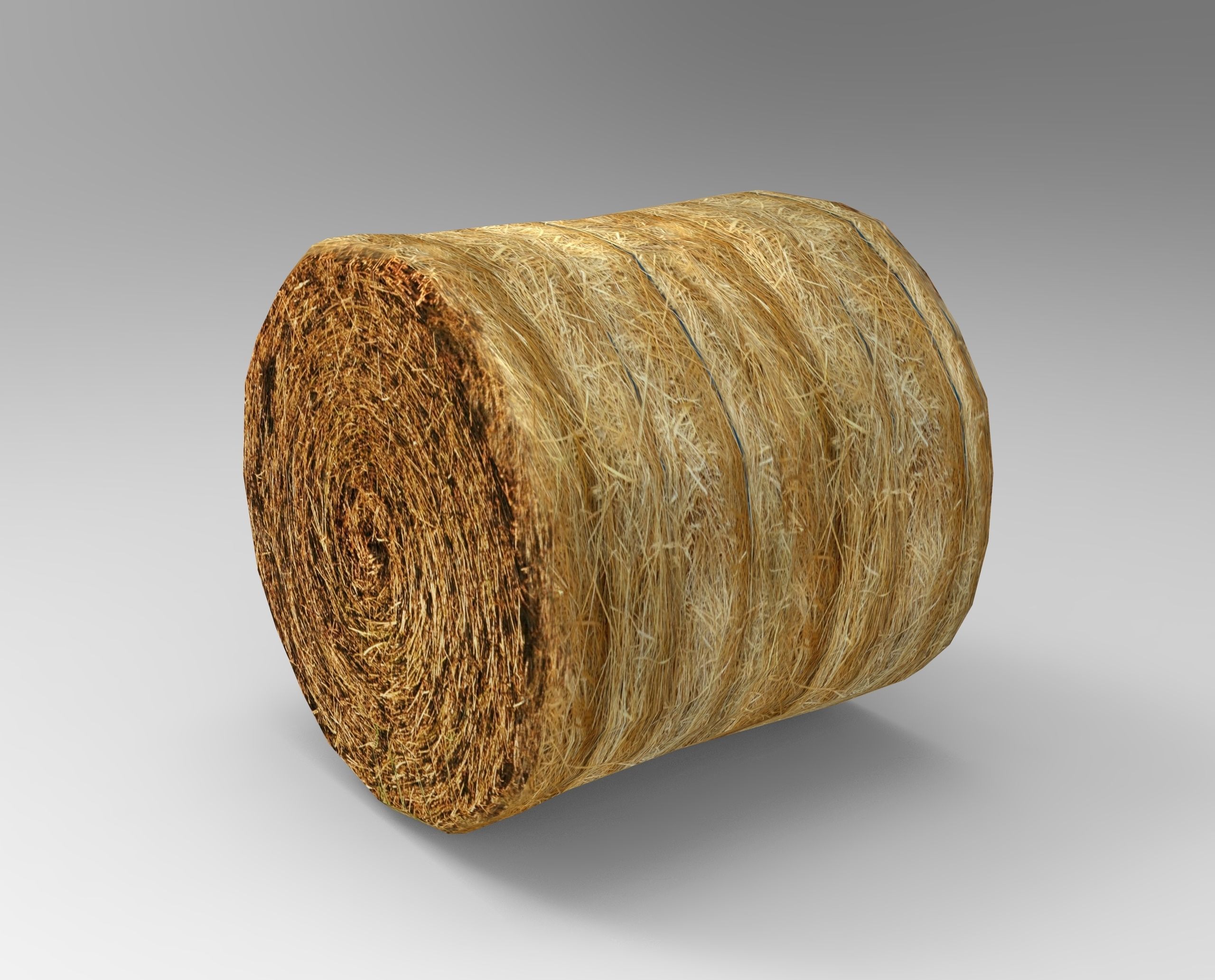 Hay Bale Low-poly 3D model Free low-poly 3D model_1