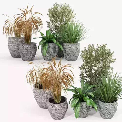 Knisely 2-Piece Pot Planter Set 03