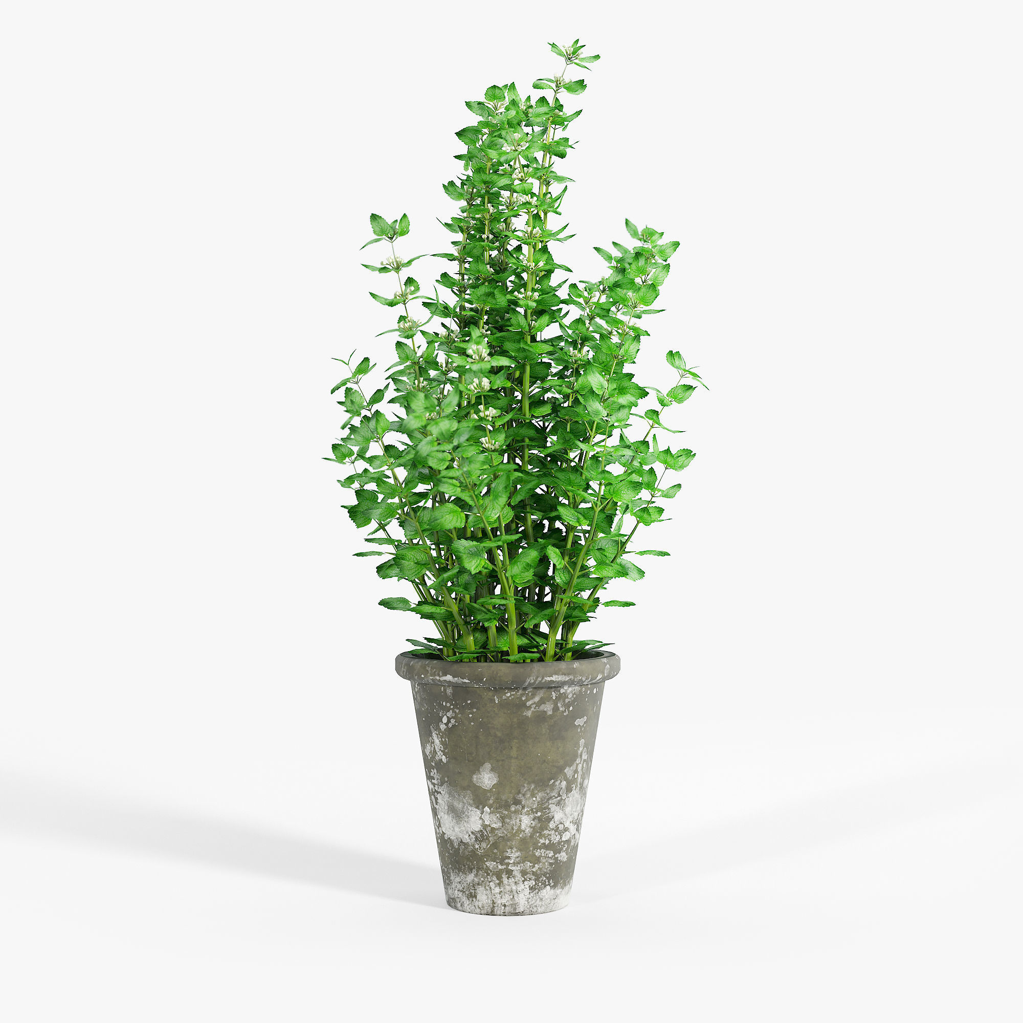 Bondurant Large Heavily Distressed Clay Pot Planter 01 3D model_4