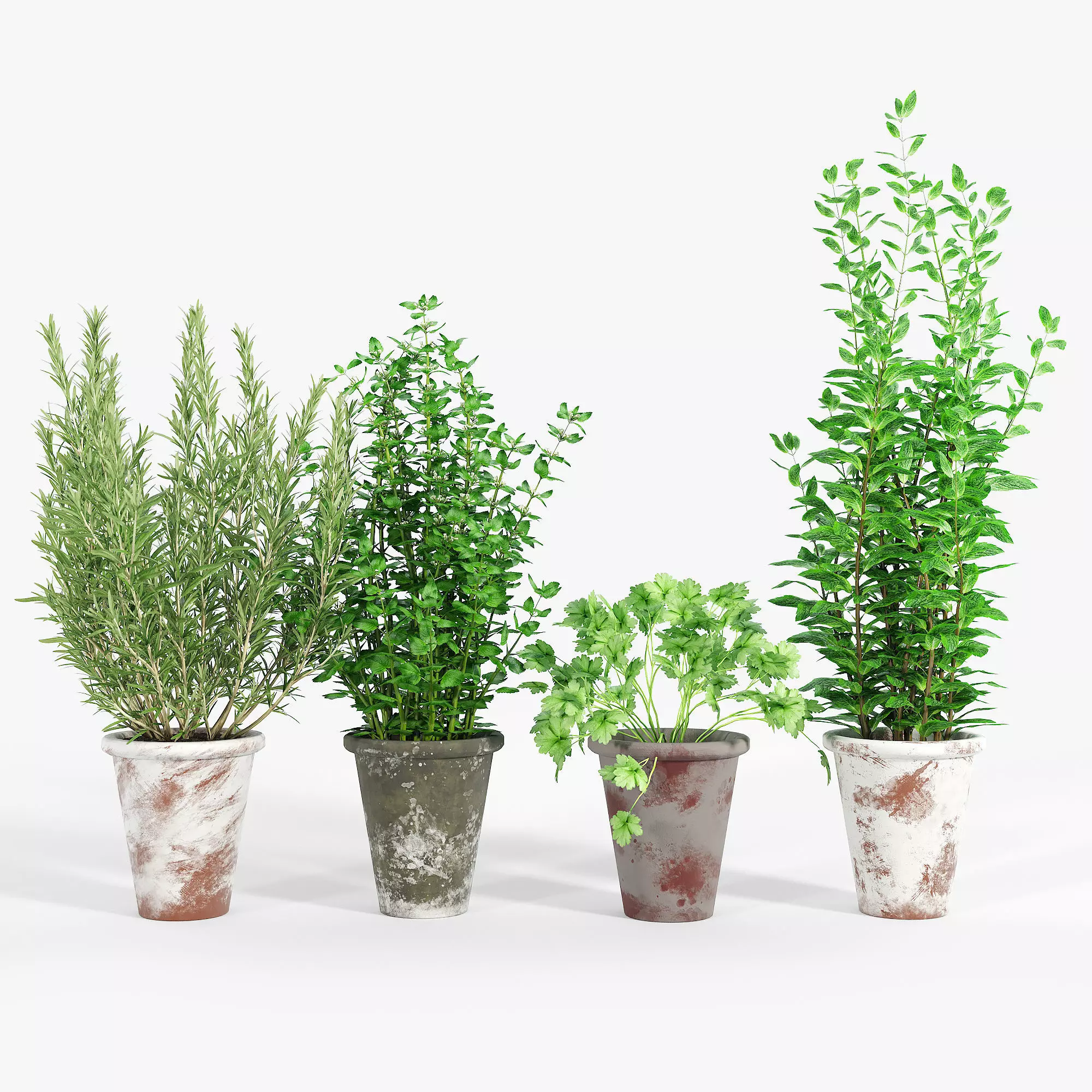 Bondurant Large Heavily Distressed Clay Pot Planter 01 3D model_0