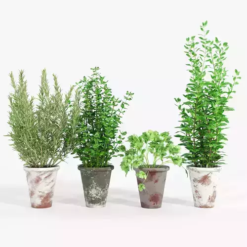 Bondurant Large Heavily Distressed Clay Pot Planter 01 3D model