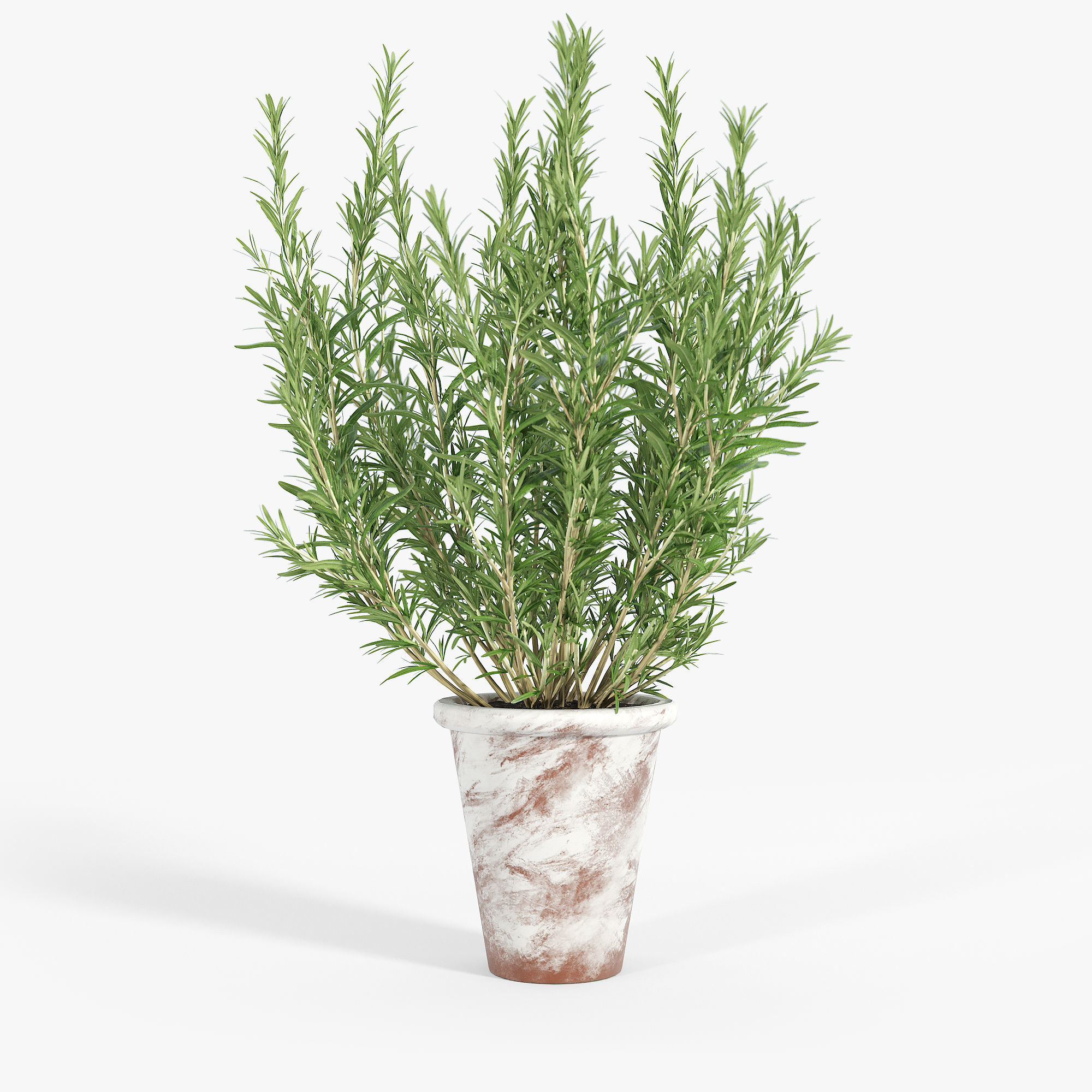 Bondurant Large Heavily Distressed Clay Pot Planter 01 3D model_5