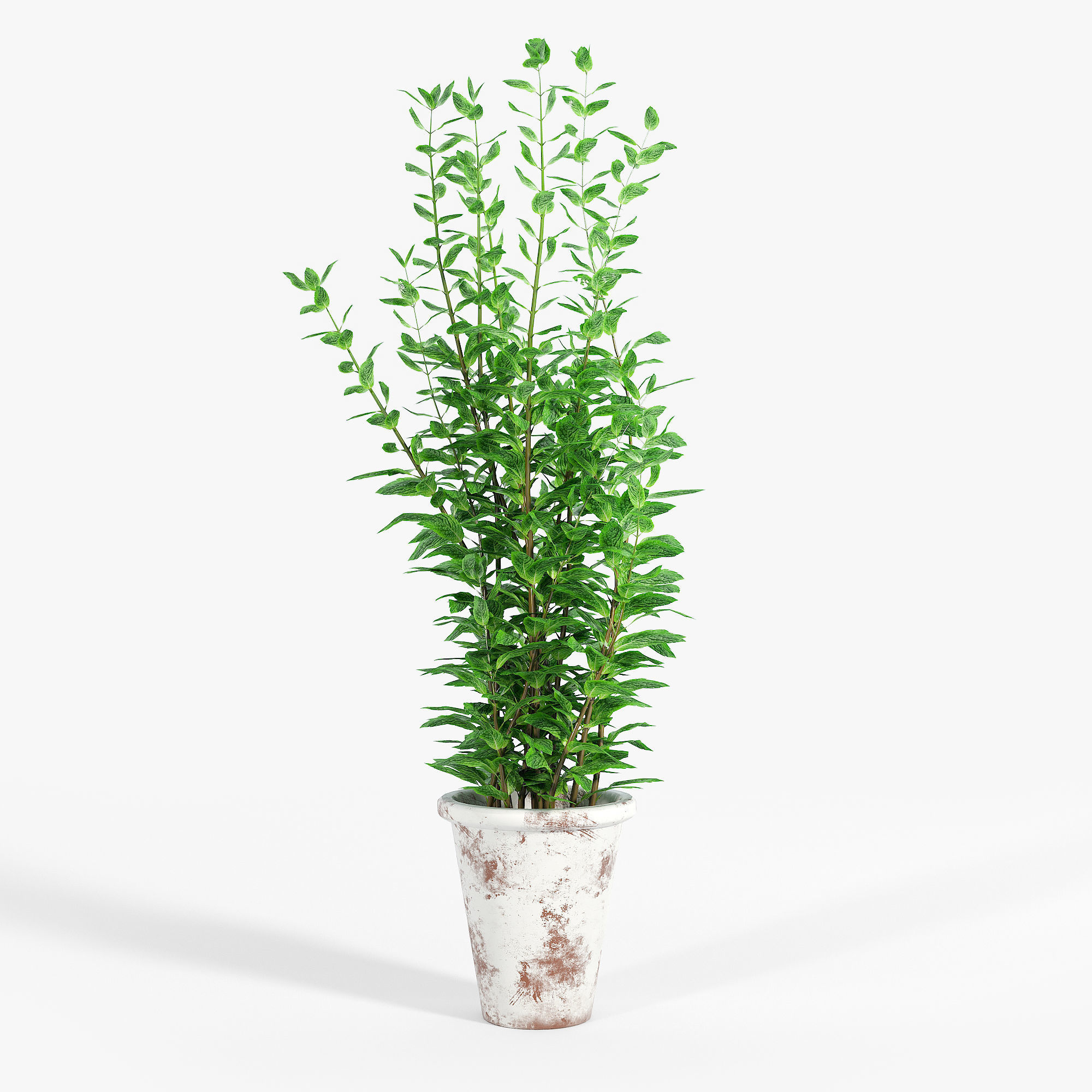 Bondurant Large Heavily Distressed Clay Pot Planter 01 3D model_6