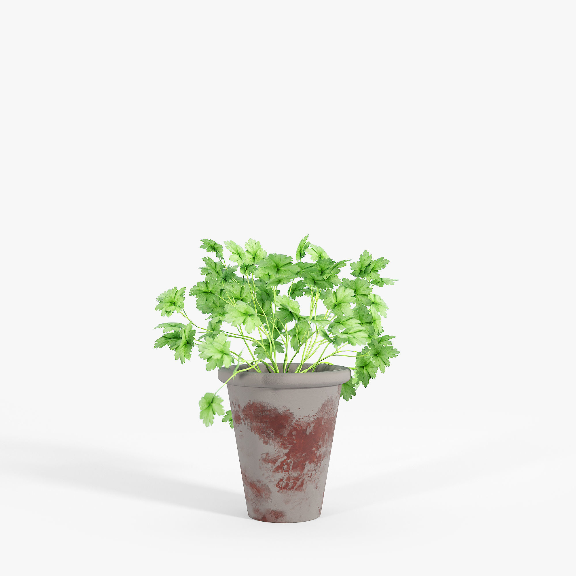 Bondurant Large Heavily Distressed Clay Pot Planter 01 3D model_3