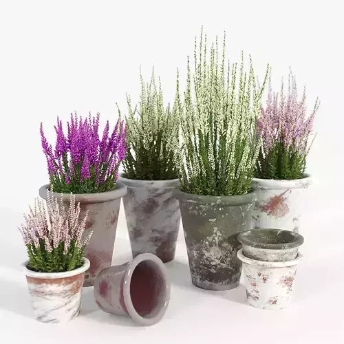 Bondurant Large Heavily Distressed Clay Pot Planter 03 3D model