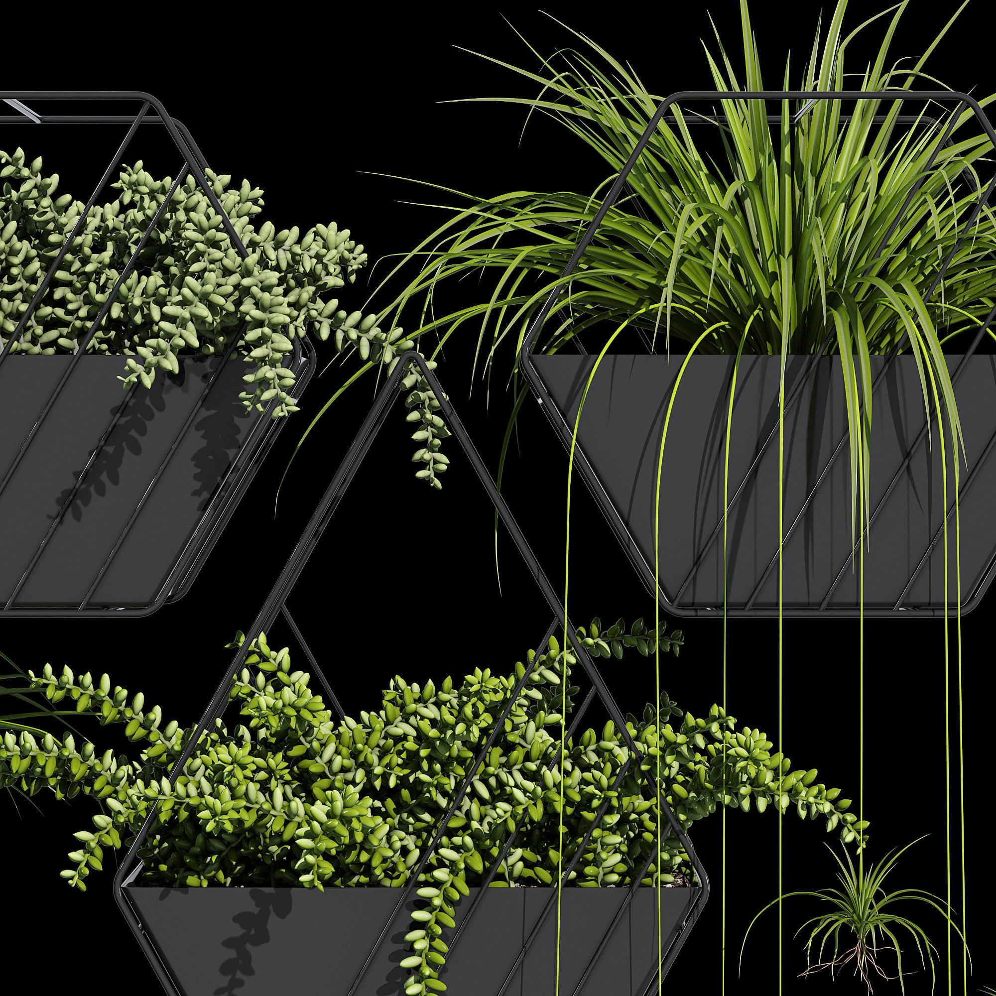 Tulane hanging planter 3D model_5