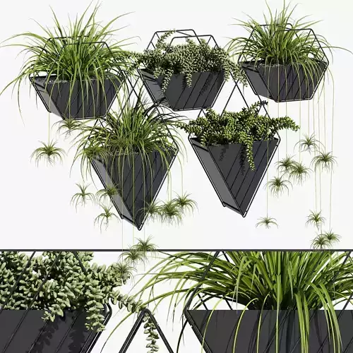 Tulane hanging planter 3D model