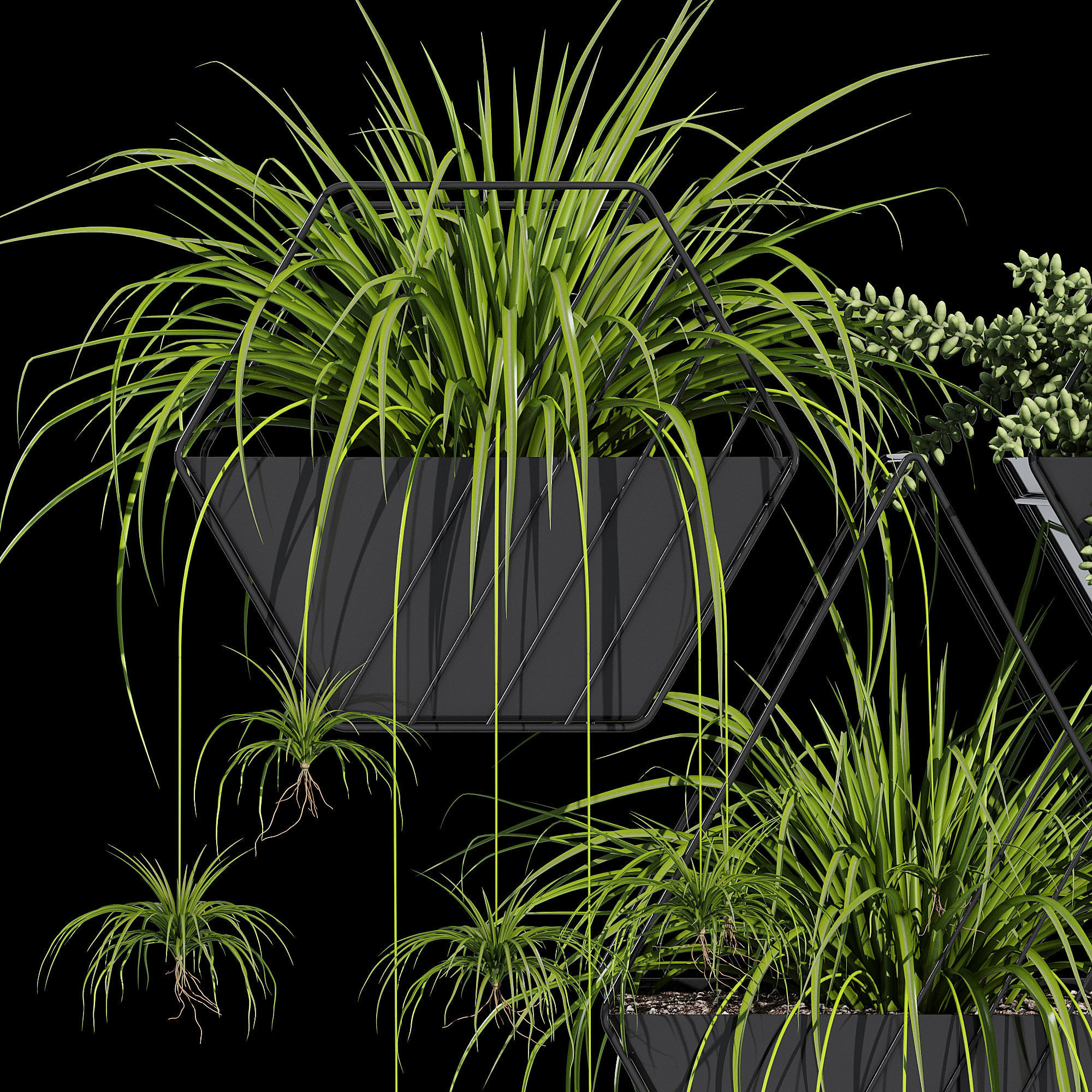 Tulane hanging planter 3D model_6