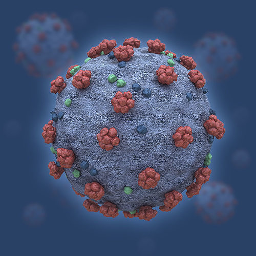 Covid19 3D Model coronavirus 3D model
