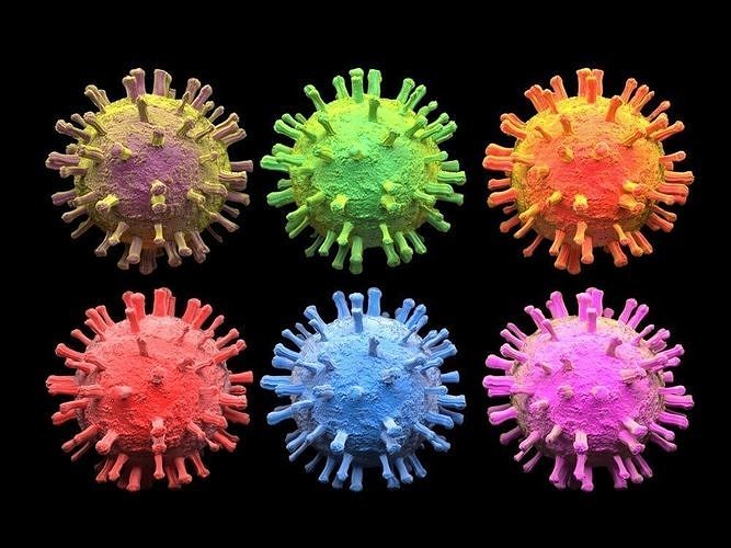 Coronavirus  -  COVID-19 3D model