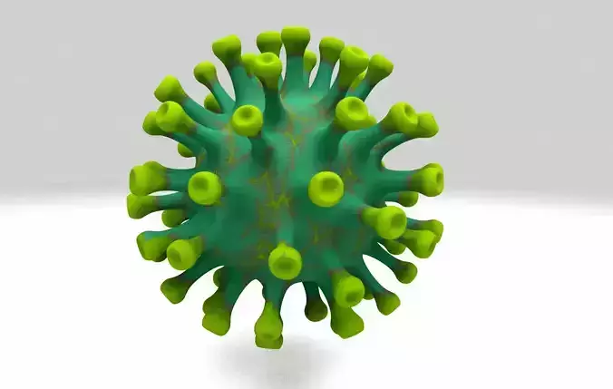 Corona Virus  COVID-19 Coronavirus 3D model