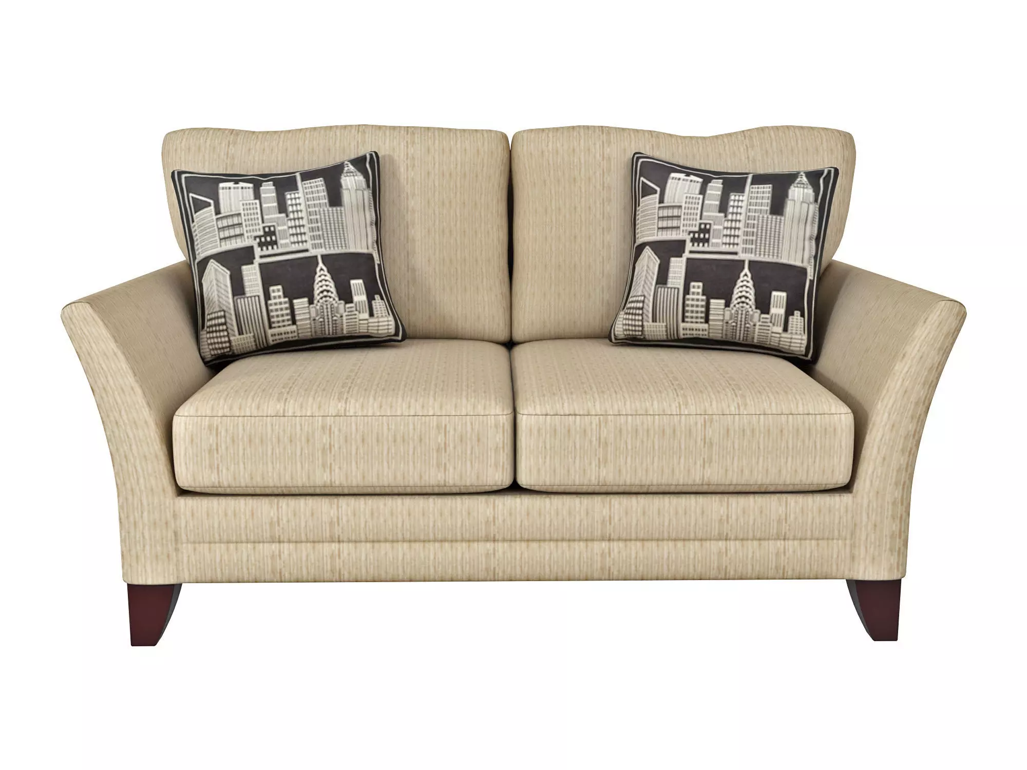 Sofa and Cushion 3D model