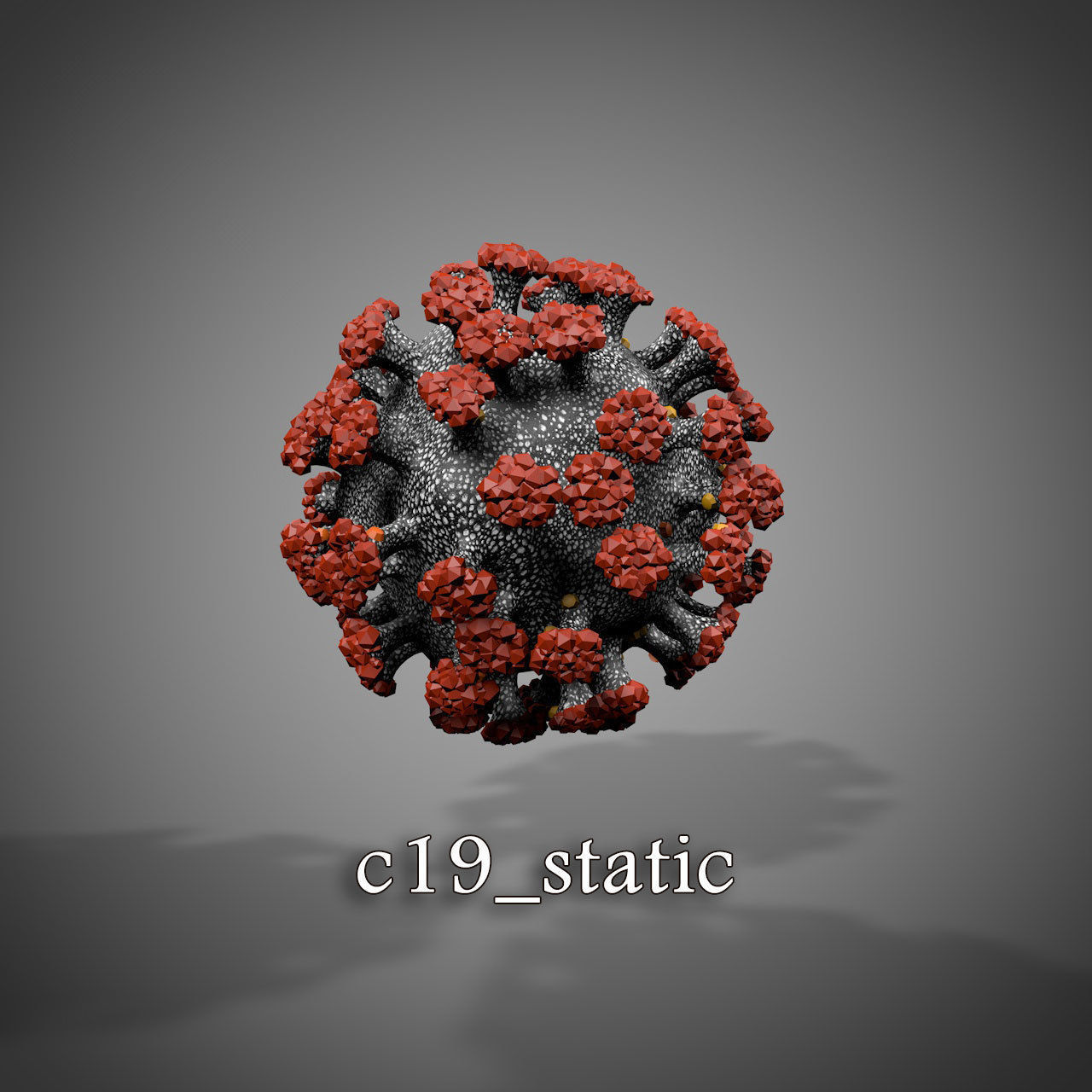 Virus Animations 3D model_16