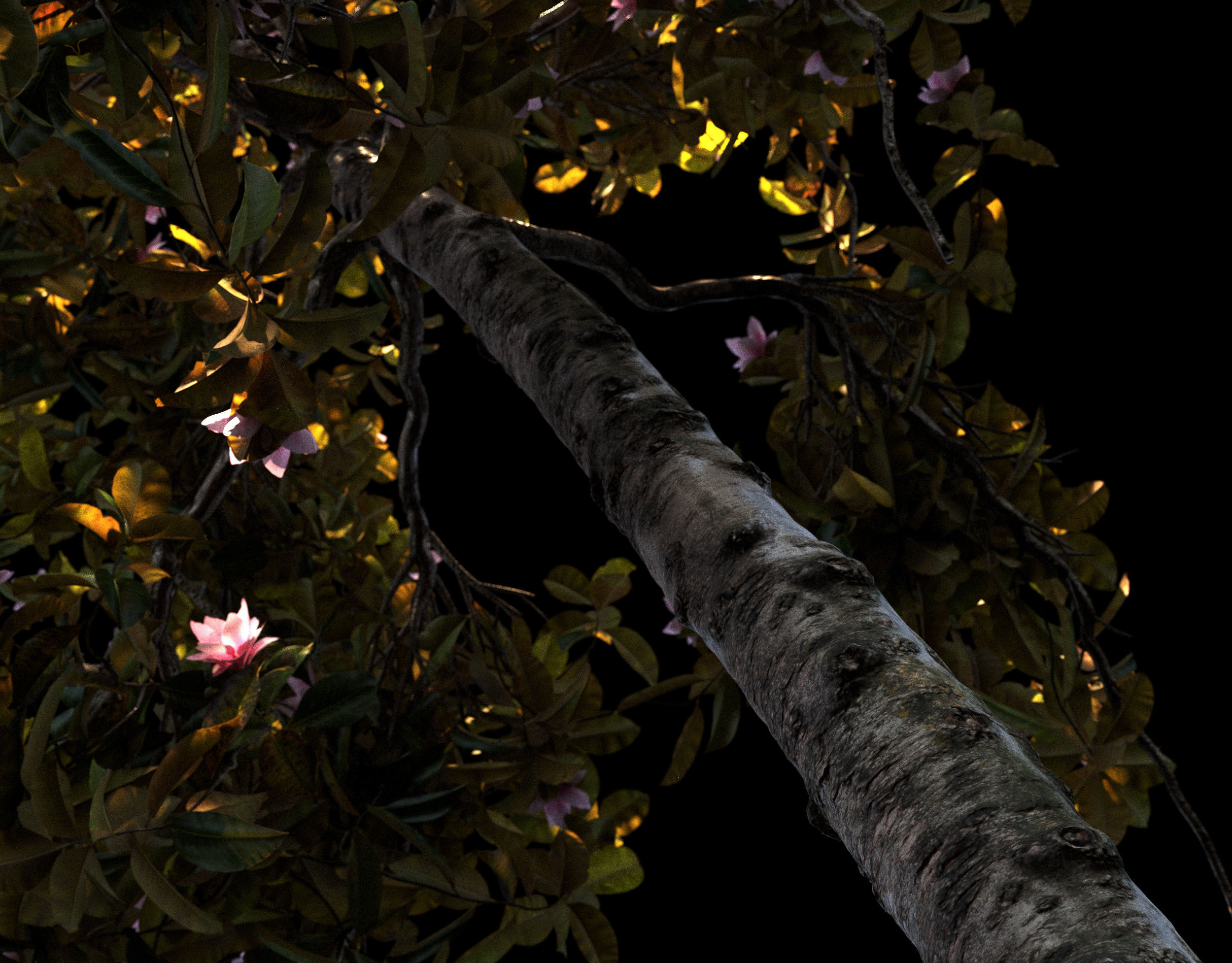 Magnolia S  4 models 3D model_8