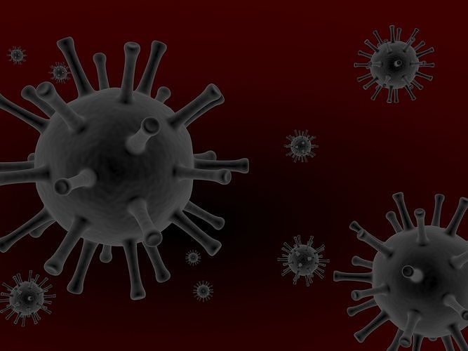 Flu Virus 3D model 3D model