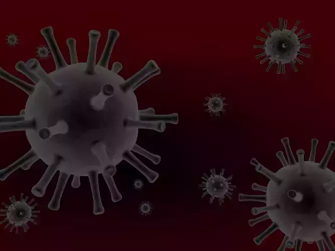 Flu Virus 3D model 3D model