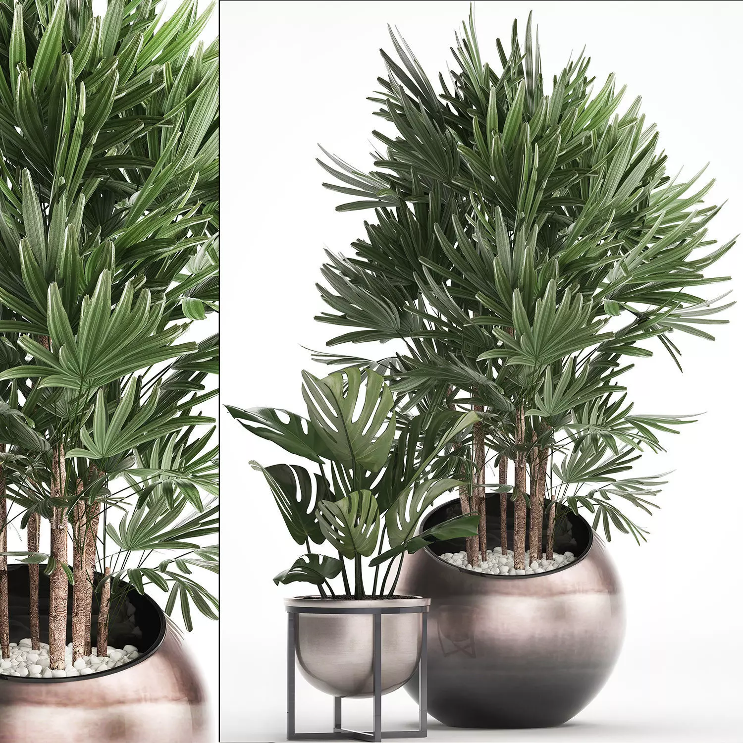Decorative plants in flower pots for the interior 350 3D model
