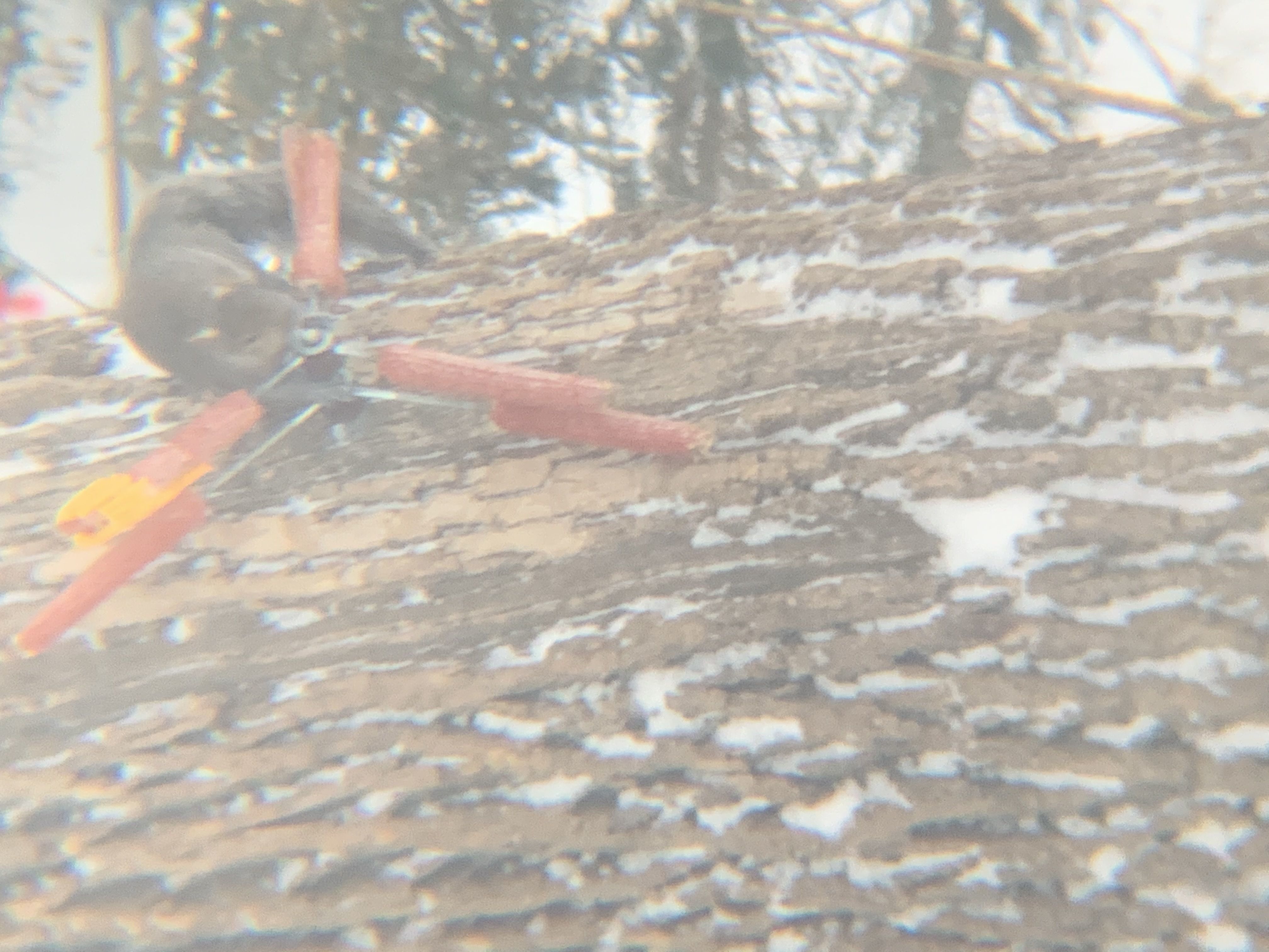 Deernut screw 3D print model_1