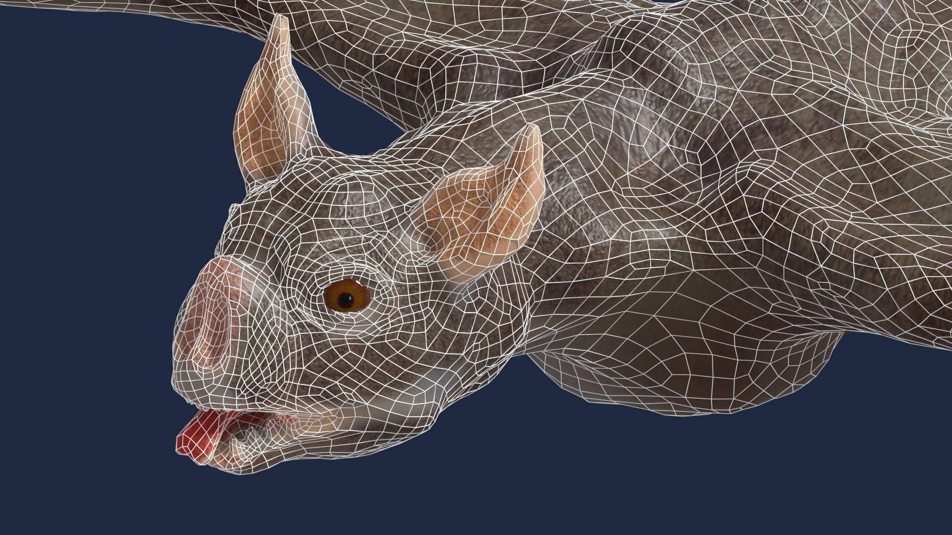 vampire bat 3D model_1