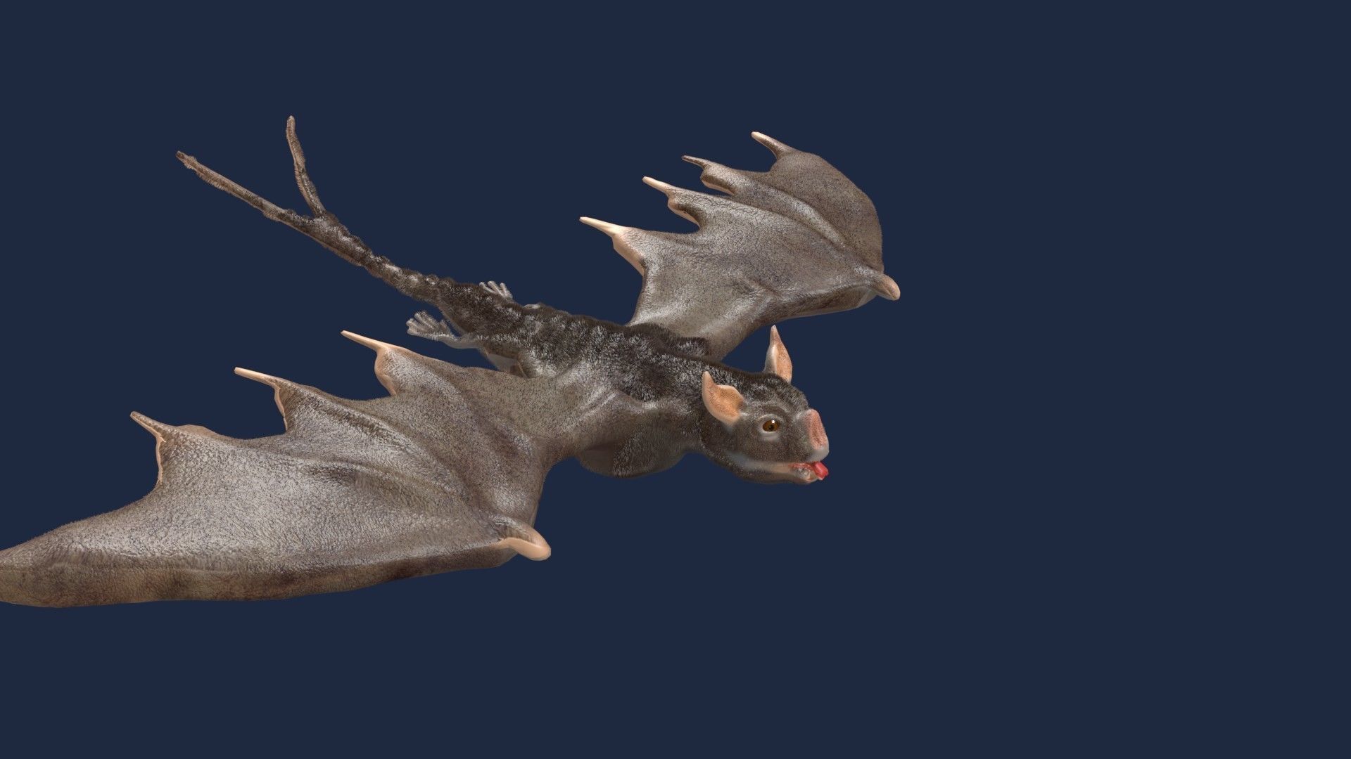 vampire bat 3D model_11