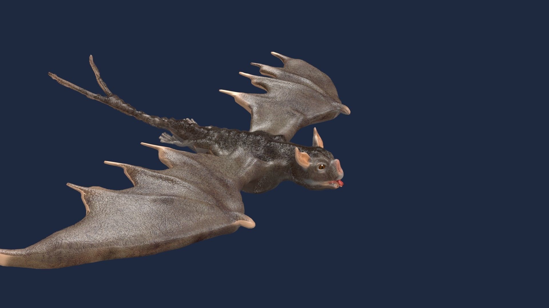 vampire bat 3D model_12