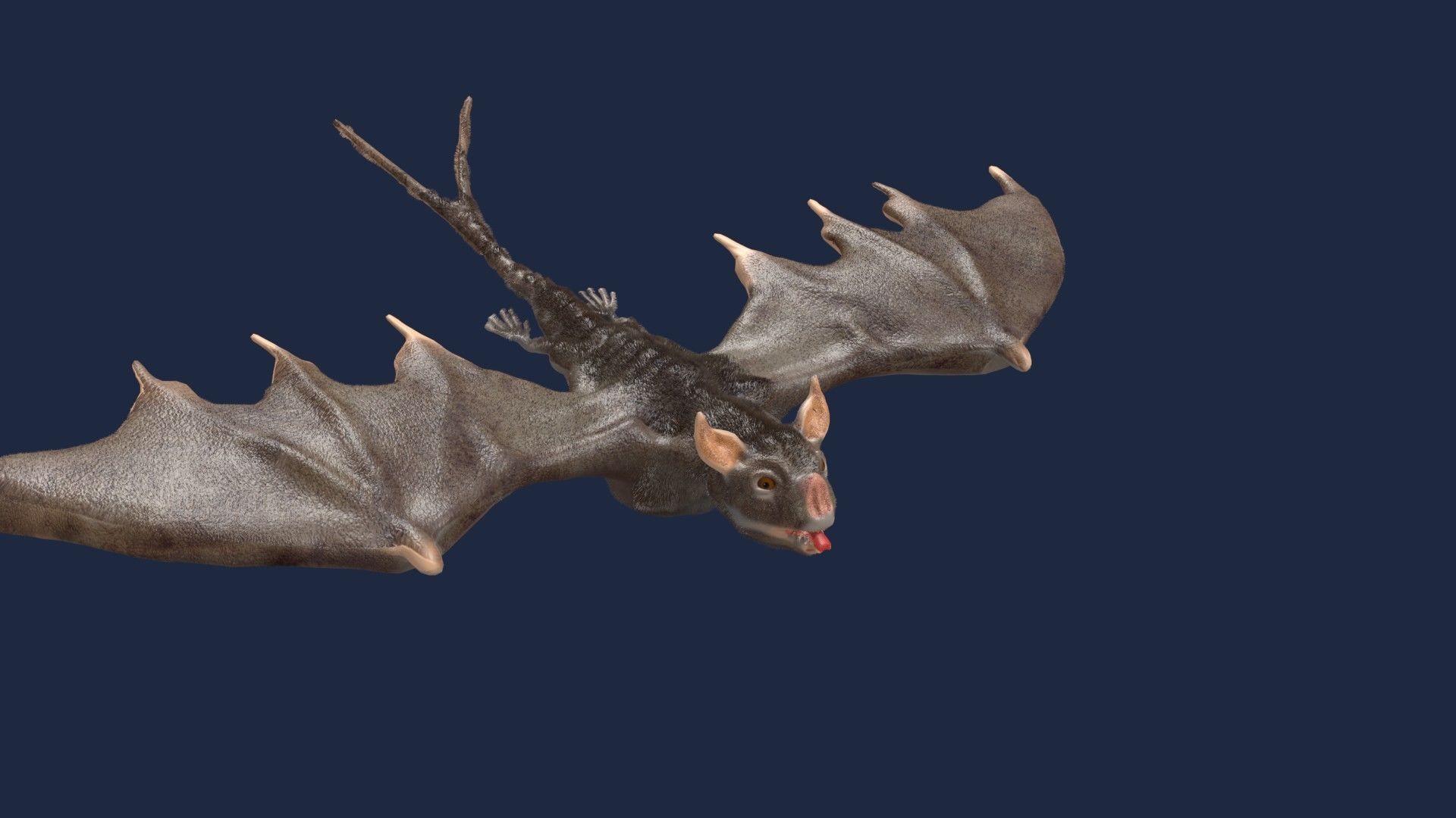 vampire bat 3D model_10