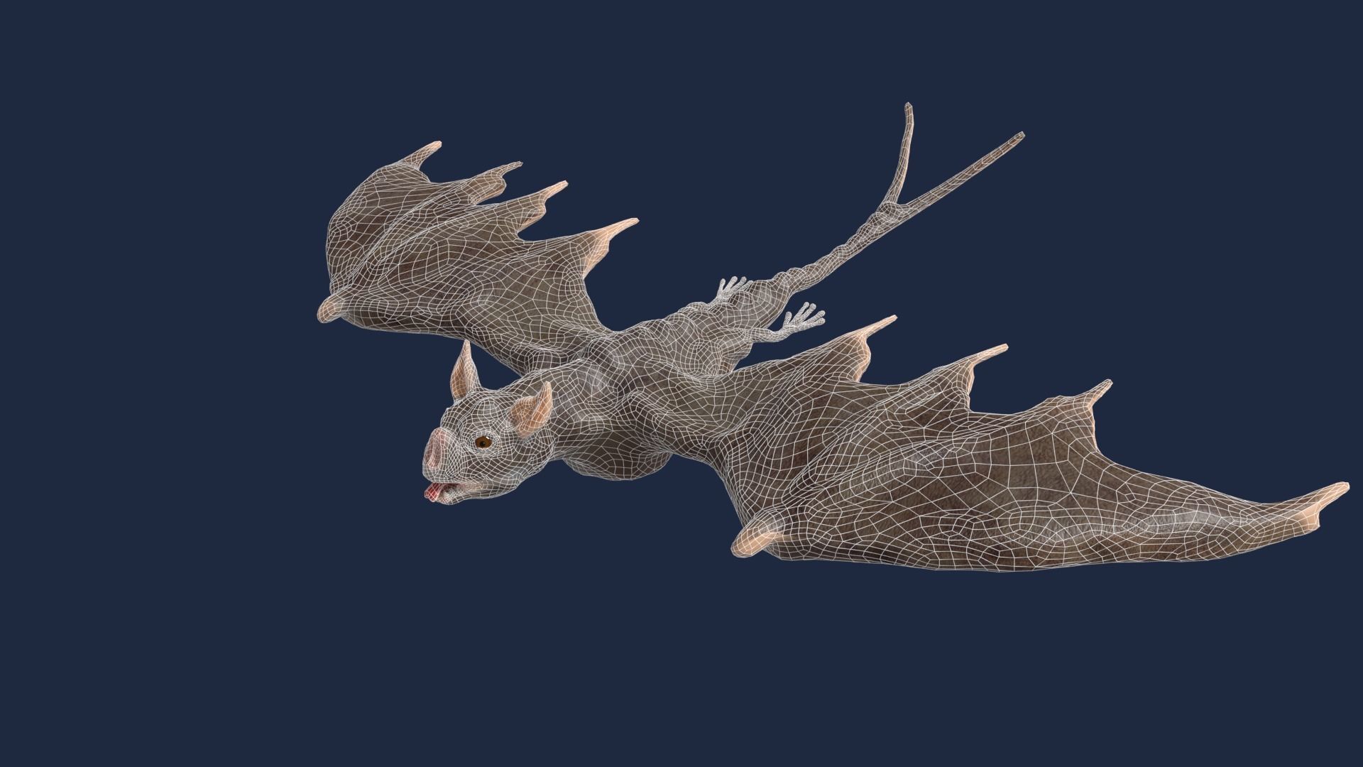 vampire bat 3D model_13