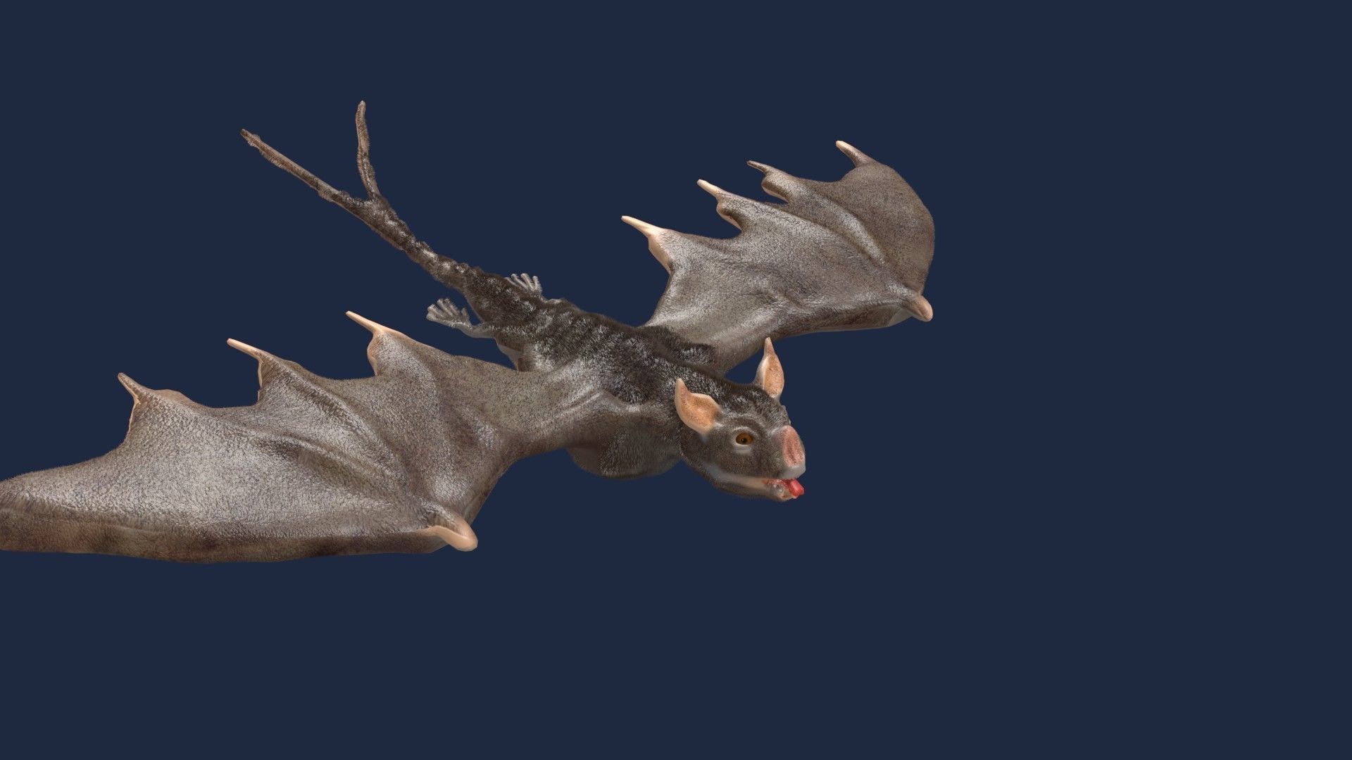 vampire bat 3D model_3