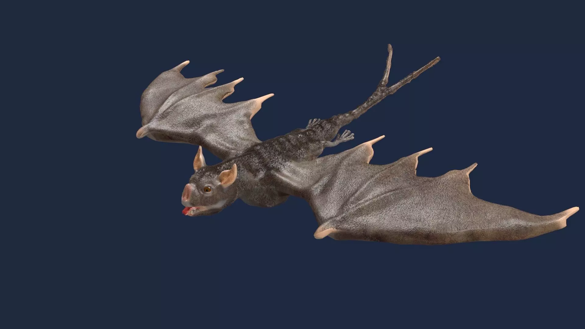 vampire bat 3D model_0