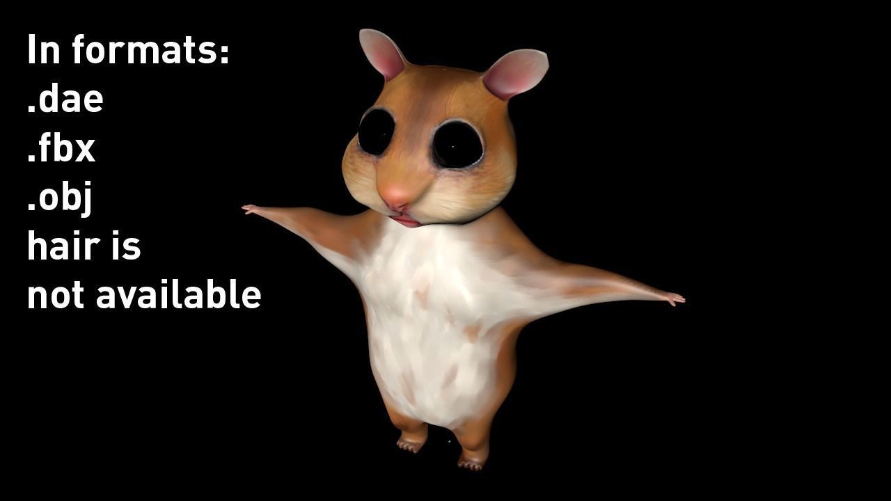 THE MIGHTY HAMSTER PROJECT Low-poly 3D model_11