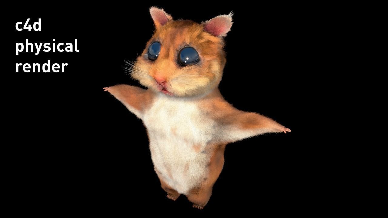 THE MIGHTY HAMSTER PROJECT Low-poly 3D model_17