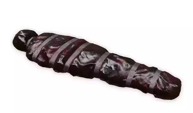 Dead body in the bag