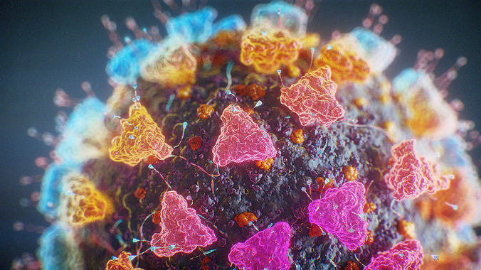 Corona Virus 3D model Sweet Stylish COVID19 3D model