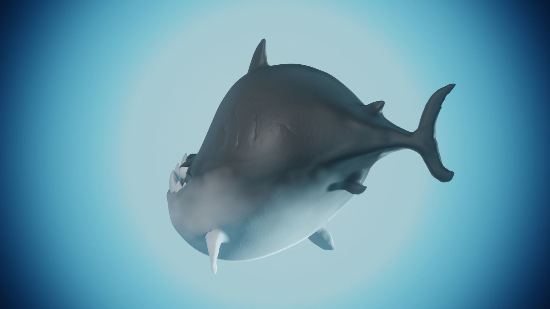 Shark - Cartoon Styled  3D model_6
