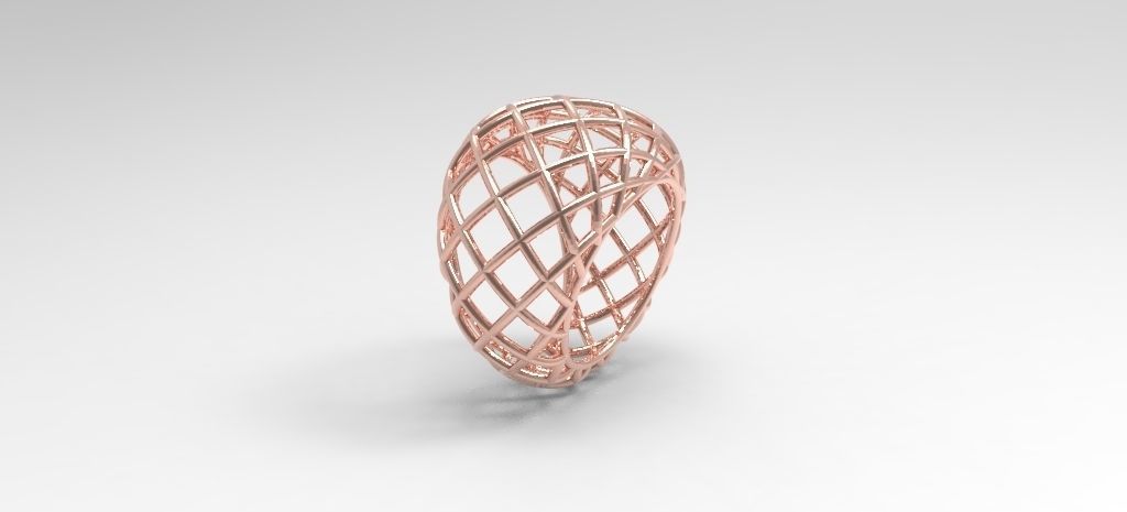 Wire ring 3D print model_7