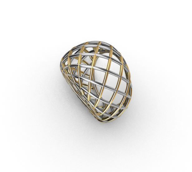 Wire ring 3D print model_9