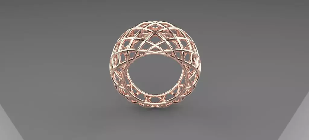 Wire ring 3D print model_0