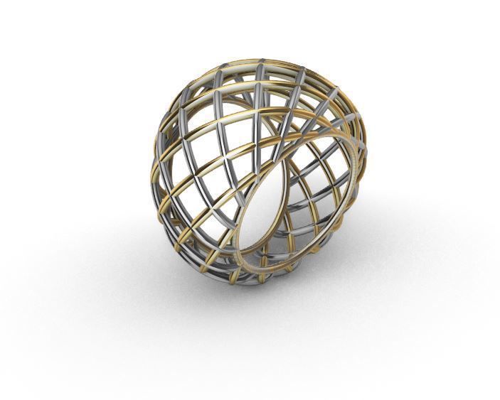 Wire ring 3D print model_8