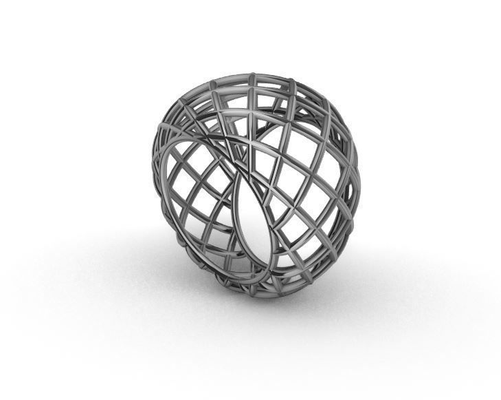 Wire ring 3D print model_10