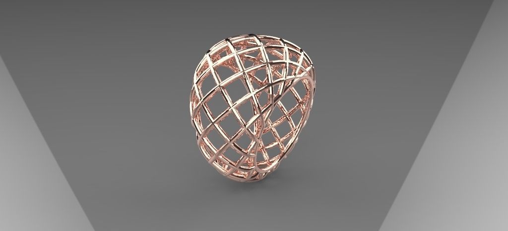 Wire ring 3D print model_1