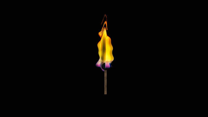 Matches and fire 3D model
