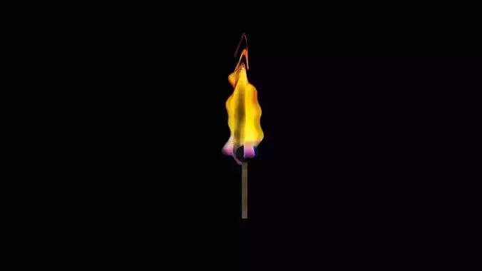 Matches and fire 3D model
