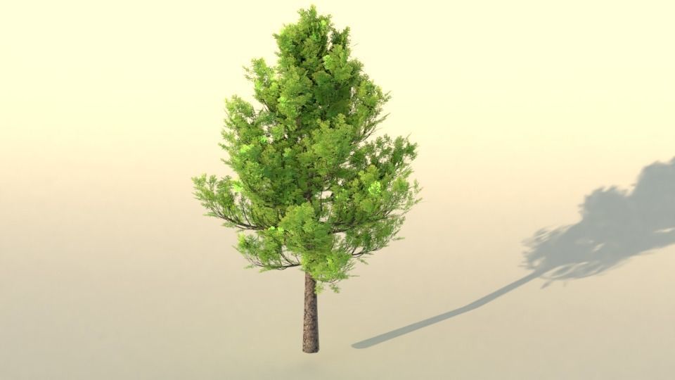 low poly realistic and game ready tree Low-poly 3D model_1