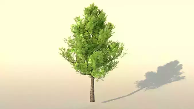 low poly realistic and game ready tree