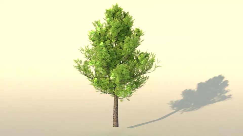 low poly realistic and game ready tree Low-poly 3D model_0