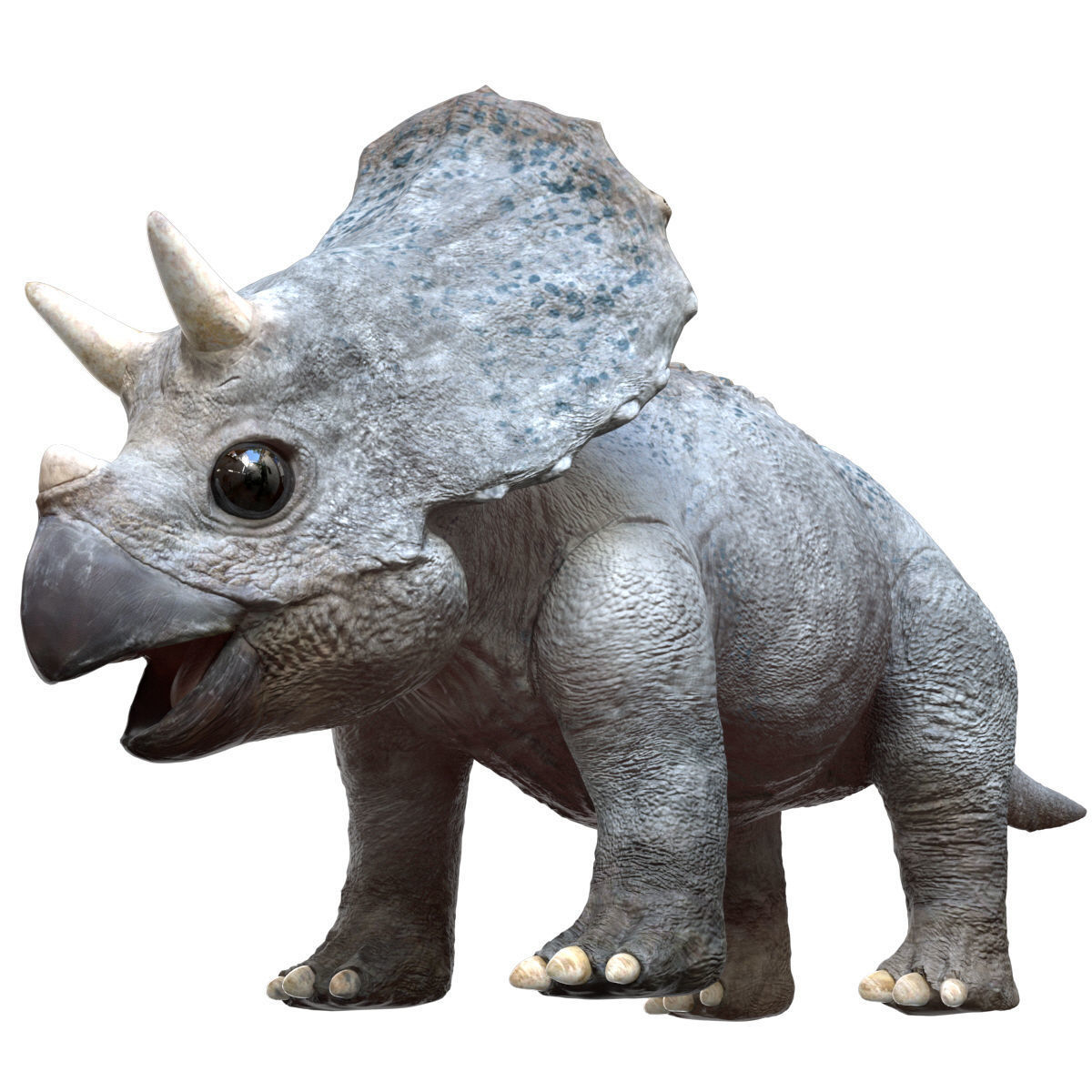 Triceratops Baby 3D Rigged model Low-poly 3D model_5