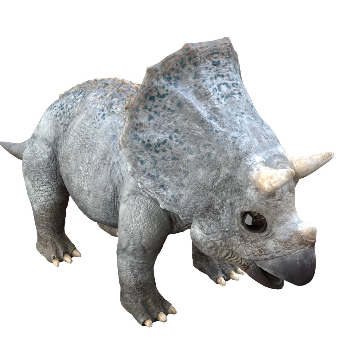 Triceratops Baby 3D Rigged model Low-poly 3D model_7